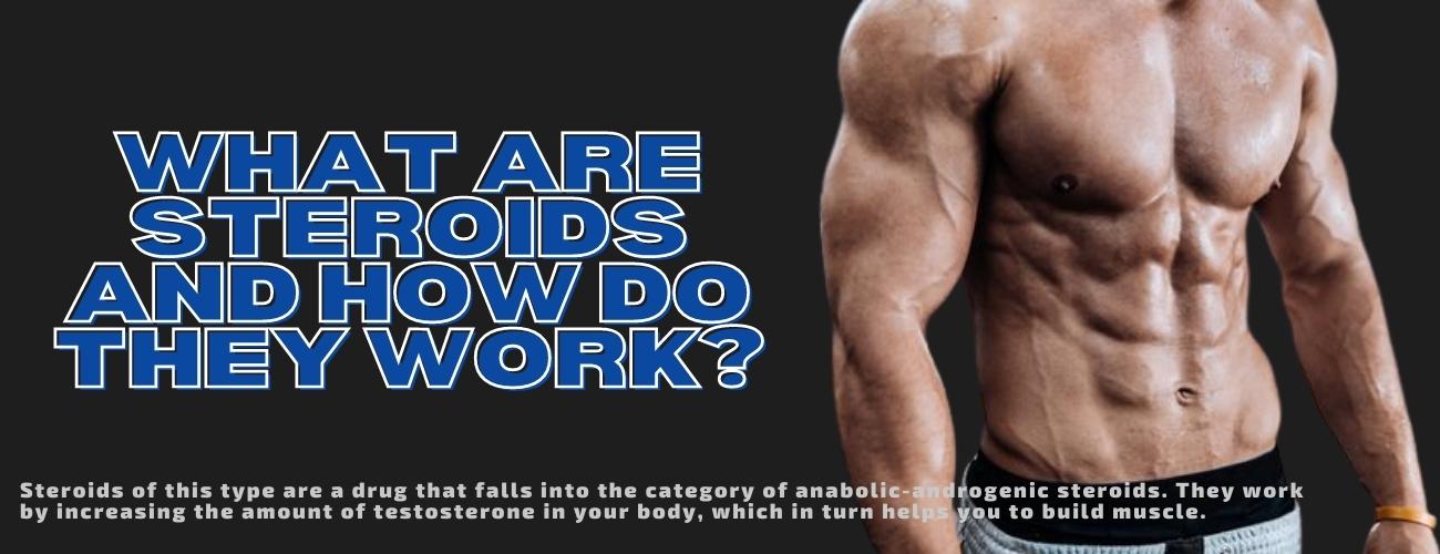 Best Steroids for Beginners